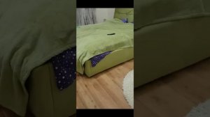 Я заснял реального Монти *** На скрытые камеры ***