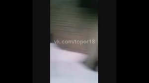 Мальчик упал на прутья