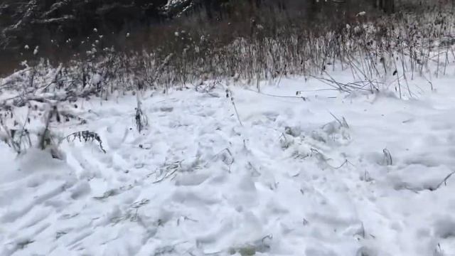 Катаемся с горки и испытываем снегокат Экстрим Адреналин Радость Детство смотреть онлайн