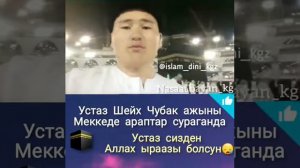 Устаз Чубак ажы ☝ Аравия