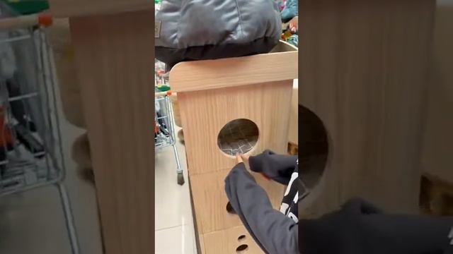 Вообще ничего не понимает….💍@dimasblog смотреть онлайн