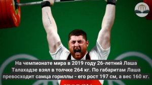 Почему ленивые гориллы сильнее спортсменов штангистов