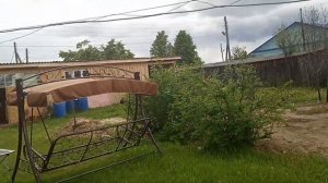 Готовим веники из малины,ивы,крапивы