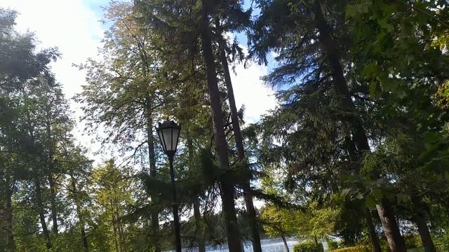 Жизнь как жизнь.Красный цвет- как характеристика Лены Хеппи.Её же слова"Идиотка")) смотреть онлайн