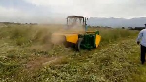 Косилка-плющилка на сенокосе