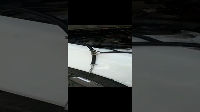 Nexia с подарком смотреть онлайн