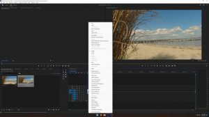 HOW TO USE an ANAMORPHIC LENS with the GOPRO HERO 9/10/11 with SAMPLES