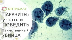 Паразиты: узнать и победить. Таинственный убийца. Гость фильма Аксенова В. И. Оптисалт.