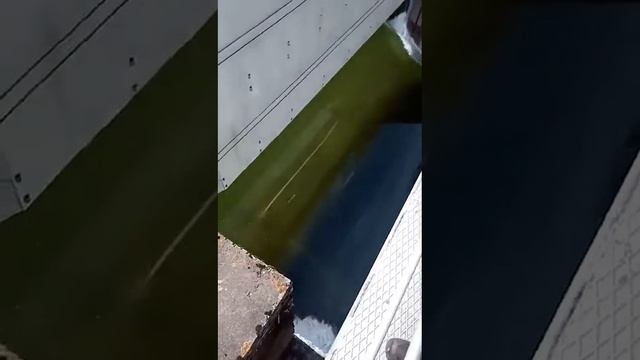 Красноярск ГЭС река Енисей паводок 2021год смотреть онлайн