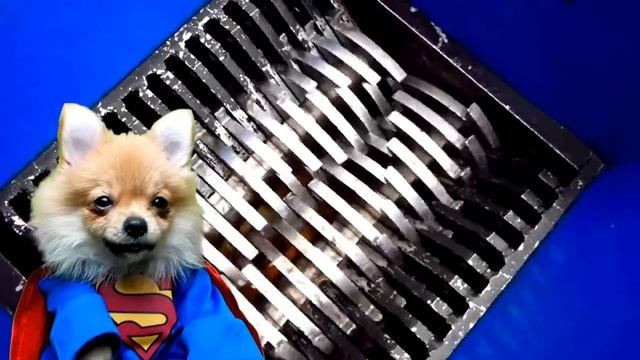 ШЕРИФ ДЖЕФ и УЛИТКА ЗЕФИР в НОВОМ GARTEN of BANBAN 2! ЖУТКИЙ ЭКСПЕРИМЕНТ Alphabet Lor Валеришка Мак смотреть онлайн