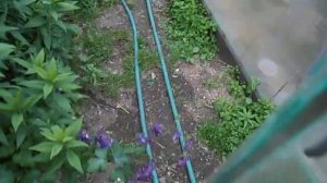 МУЛЬЧА ОПИЛКАМИ-ВСЁ НОРМАЛЬНО