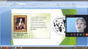 Доядерные и ядерные организмы