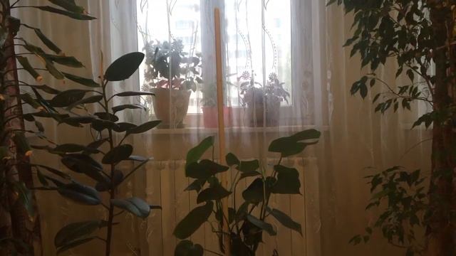 ПОЗДРАВЛЕНИЕ МУСУЛЬМАНАМ!vlog_by_nika_московские_будни