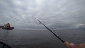 Рыбалка на Финском Заливе. Судак на Джиг. Невская Губа