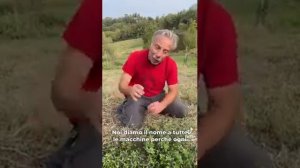 “Ecco qual è l’origine del mirto”: il video di Giovanni Storti in Sardegna