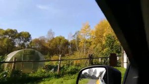 Дорога в родную деревню. Ярославская область. Тимонино. Родной пруд. ч.2. Готовлюсь к рыбалке!