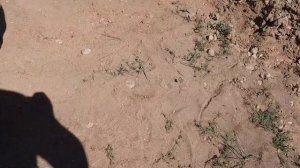 Строительство навеса, ПРИВЯЗКА СТОЛБОВ К ФУНДАМЕНТУ  беседки 5м на 4м своими руками (день 3)