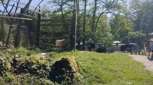 Этнографический комплекс _Вольница_ (Сочи)