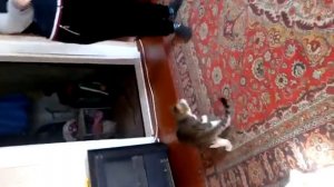 Пусть всегда будет солнце. ( На английском. )