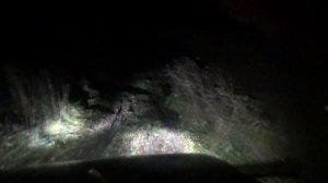 LED  лампы головного света H4 S1 на НИВУ