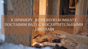 Притча пчела и муха. Два взгляда на мир.