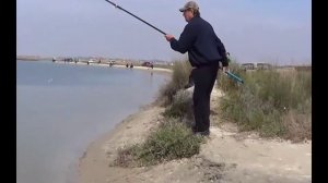 Рыбалка на Арабатской стрелке. Приготовление икры в походных условиях. 1 часть.