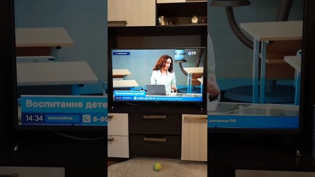 золотые рекомендации в воспитании детей. смотреть онлайн