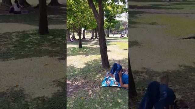 Bangkok Chatuchak Park смотреть онлайн