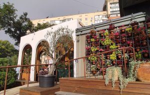 Супра - ресторан на Второй Речке. Владивосток