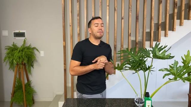 Philodendron Selloum Care Guide