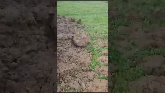 Прошли плывун идем дальше смотреть онлайн