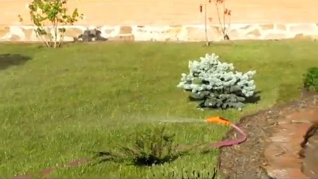Полив-на-Дону1.AVI polivnadonu.ru