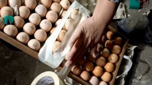 Загрузка яйц в инкубатор .