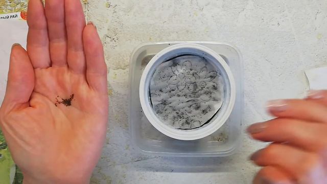 Сеем более мелкие семена петунии смотреть онлайн