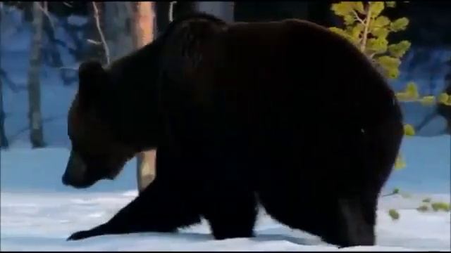 Зимняя сказка смотреть онлайн