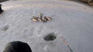 Ловля САЗАНА, ловля крупного КАРАСЯ, Этой СНАСТИ не равных  Ловля сазана и карася на удочку