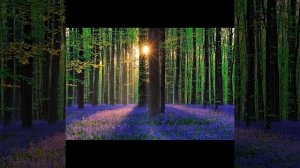 Александр Резников- МОЛИТВА СОЛНЦУ