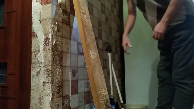 Договорился с кошкой не царапать обои / Мороженое для Муси смотреть онлайн