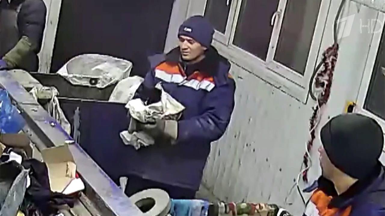 На мусоросортировочном предприятии в Ульяновске спасли кота