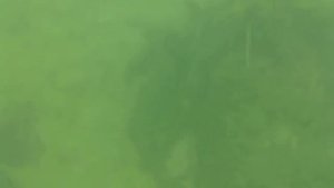 Подводная охота Ямал р.Собь