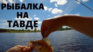 Рыбалка в Тюмени 2020. Июль, река Тавда, старицы.