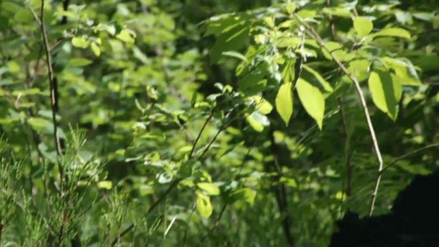 Ребенок и графен смотреть онлайн