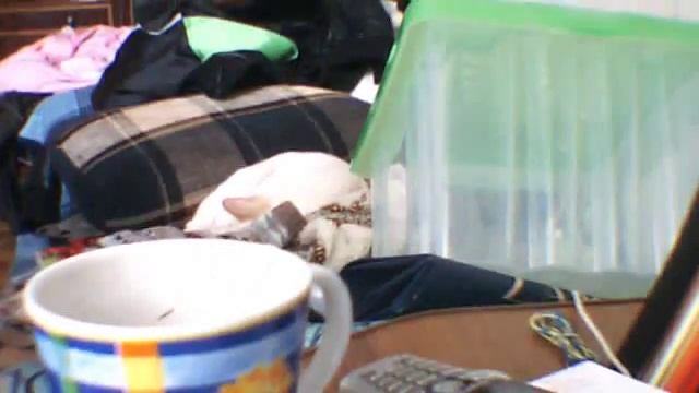 Видео с веб-камеры. Дата: 26 августа 2014 г., 12:00. смотреть онлайн