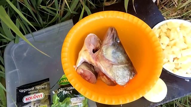 РЫБАЛКА на ОБИ 2020. СУДАК и ЩУКА. Часть 2. смотреть онлайн