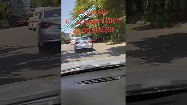 Могилизация нэньки.