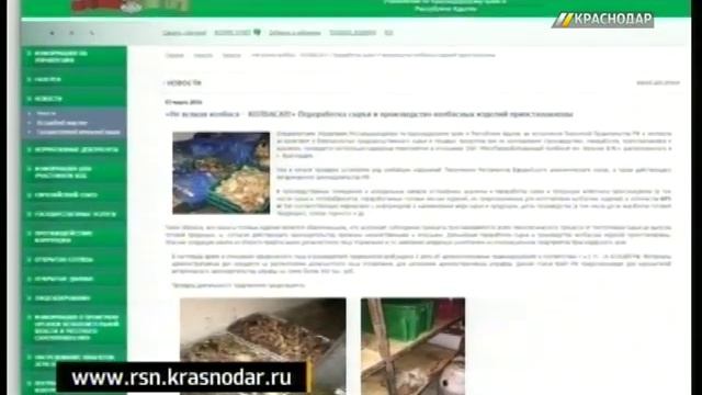 Краснодарский мясокомбинат приостановил свою работу смотреть онлайн