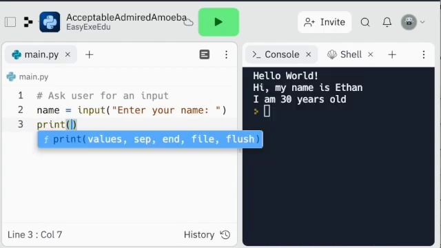 Python Programming - input function