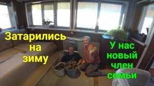 Запасаемся на зиму. Спасли жизнь котенку.