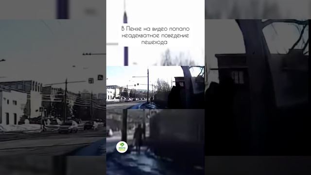 В Пензе на видео попало неадекватное поведение пешехода