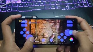 Dark Souls Remastered Skyline Emulator Build 2498 Game Test Snapdragon 855